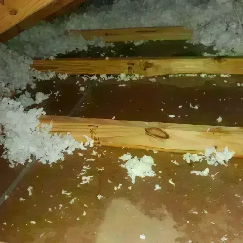 Attic Water Damage in Moorefield, WV